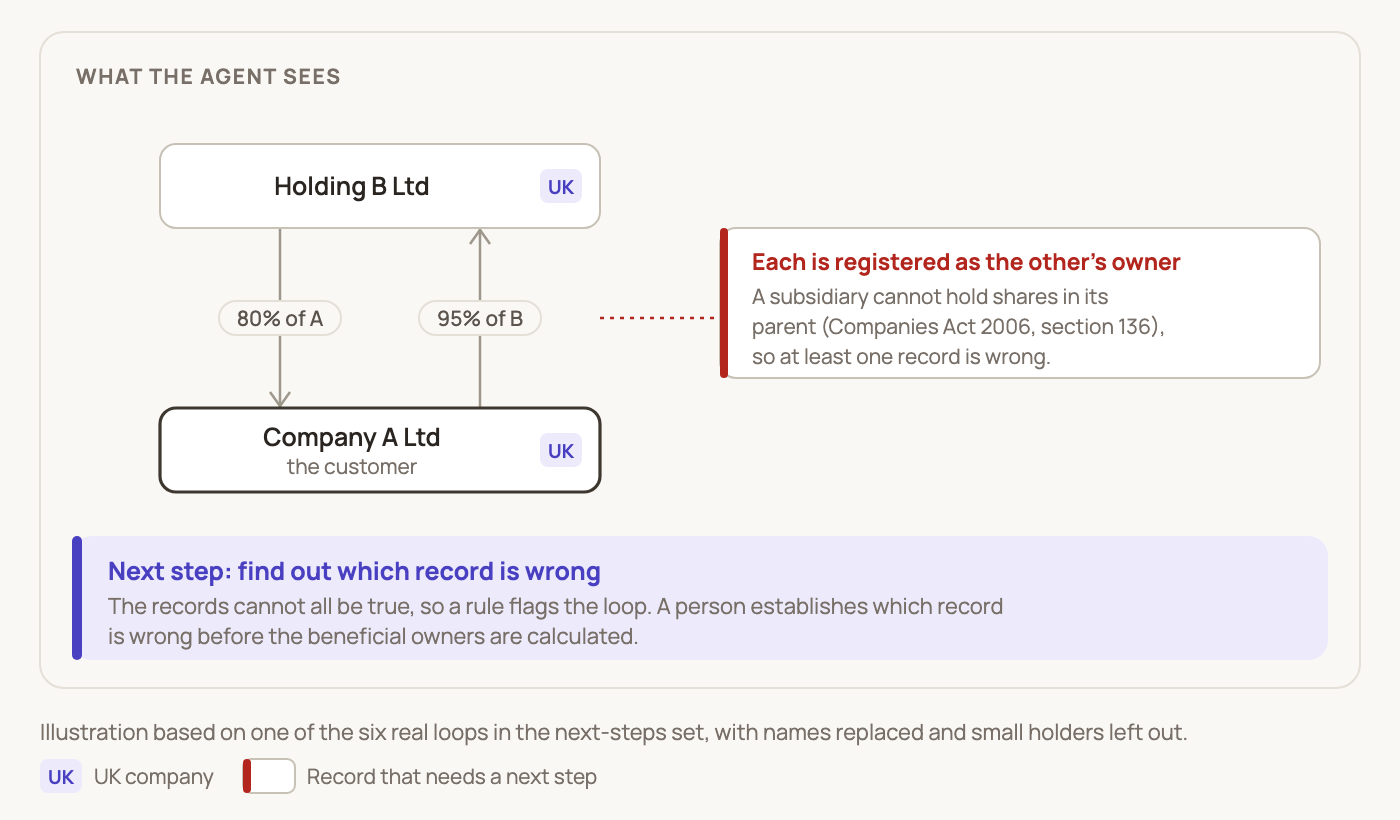 Two UK companies, each registered as owning most of the other: Holding B holds 80% of Company A, and Company A holds 95% of Holding B. A rule flags the loop, and the next step is to find out which record is wrong.